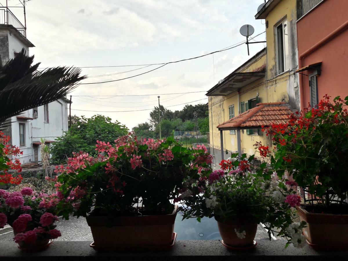 Bed & Breakfast La Caldera Del Vesuvio